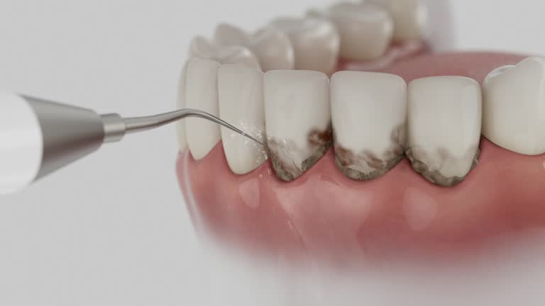 Reliable Dental contractor in Shenandoah Heights, PA by Dentist Open Now